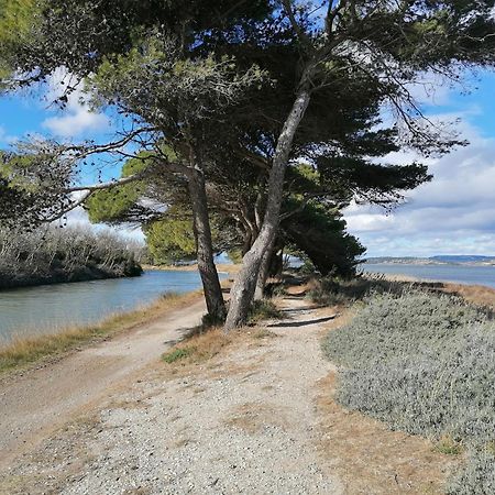 Entre Mer Et Roseaux - Piscine - Proche Centre Et Mer - Petfriendly Port-la-Nouvelle Bagian luar foto