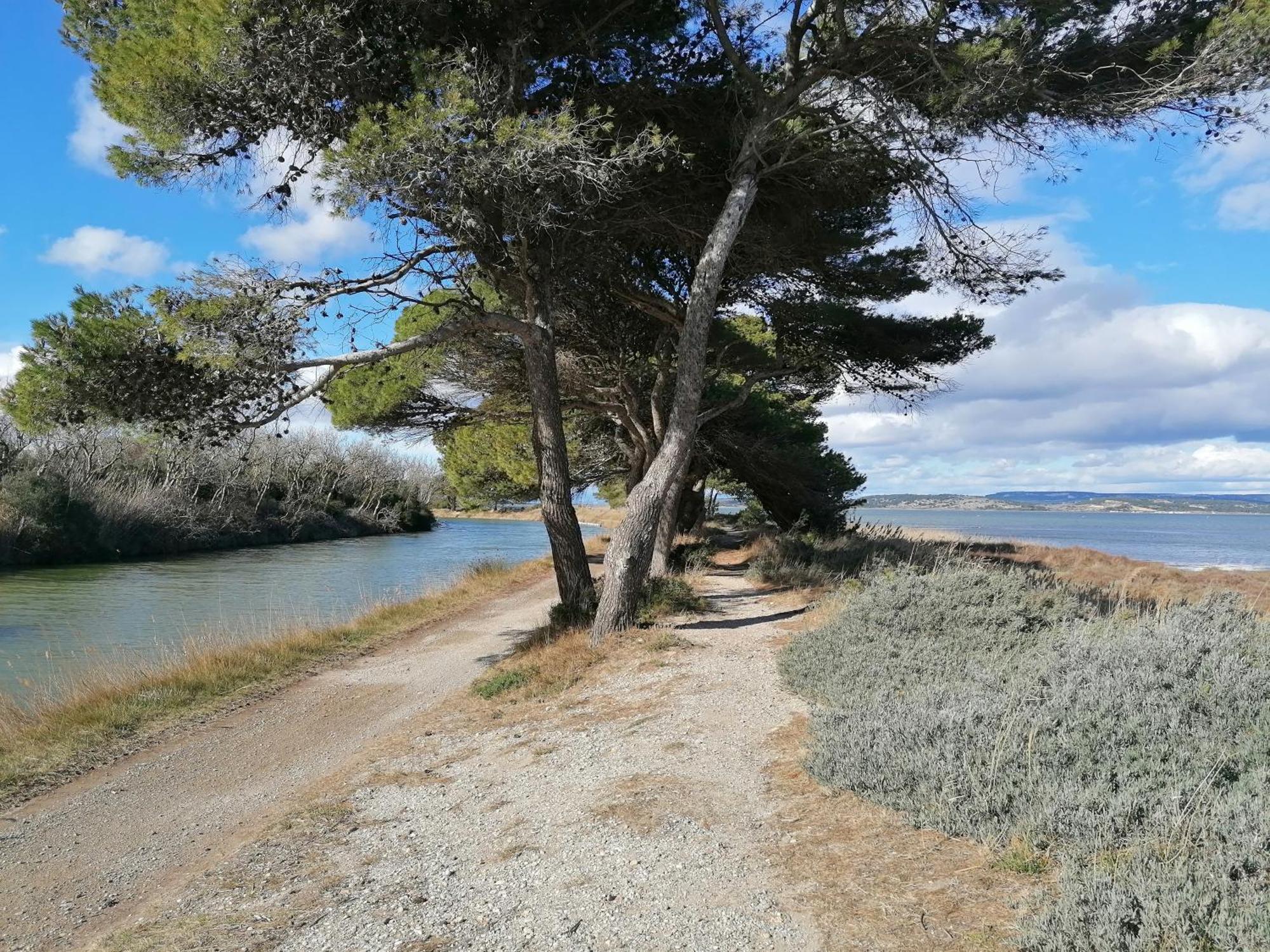 Entre Mer Et Roseaux - Piscine - Proche Centre Et Mer - Petfriendly Port-la-Nouvelle Bagian luar foto