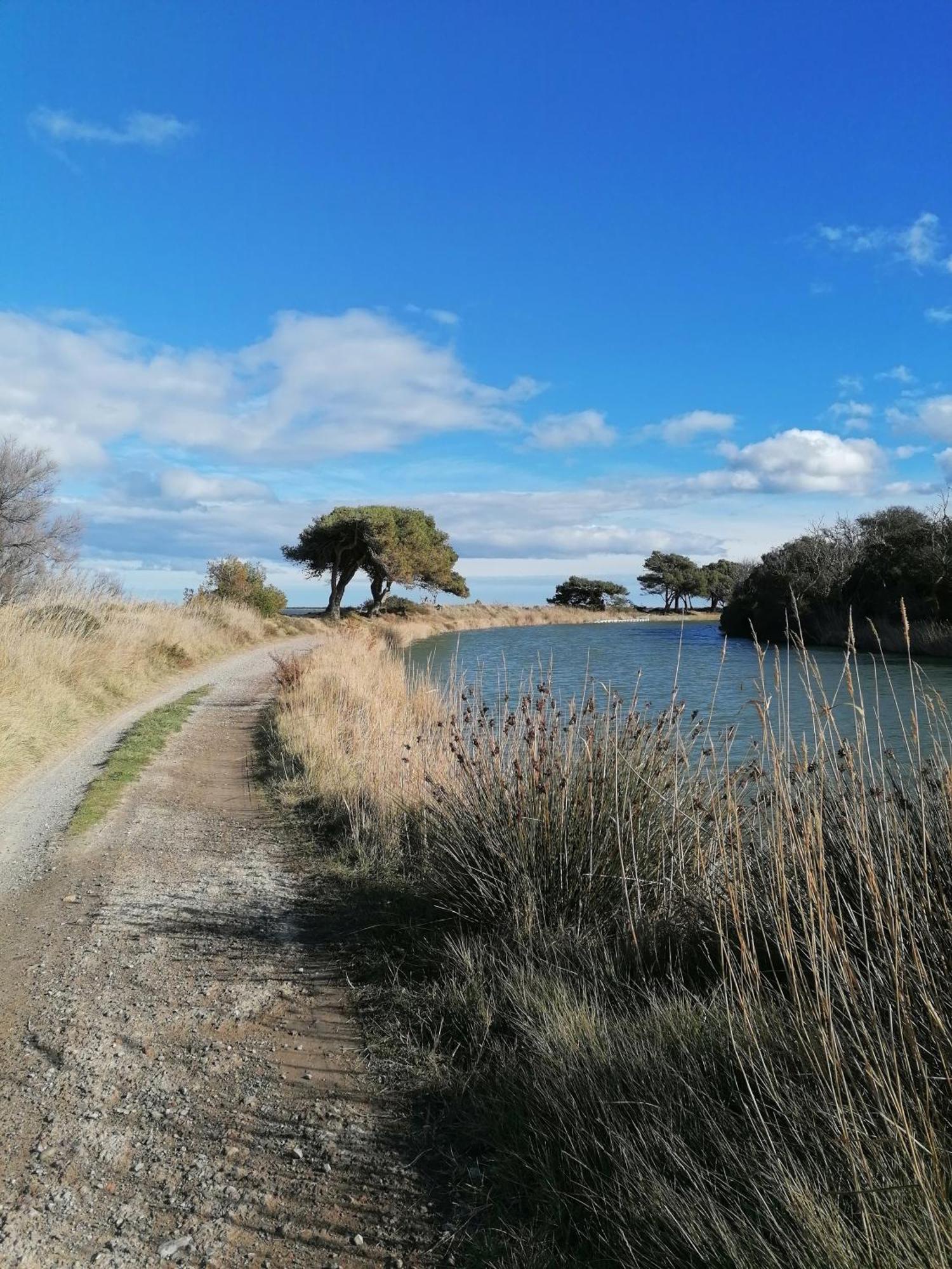 Entre Mer Et Roseaux - Piscine - Proche Centre Et Mer - Petfriendly Port-la-Nouvelle Bagian luar foto
